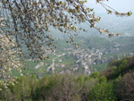 Brumano