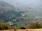 Morterone