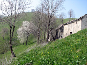Cascinali in disuso