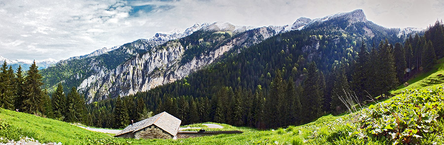 Salendo sul sentiero 121 verso il Forcolino di Torcola 