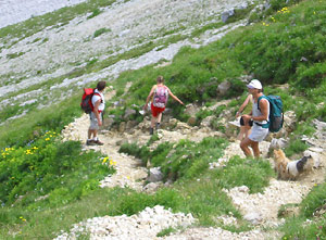 Discesa dal Passo Gabbia al Mandrone