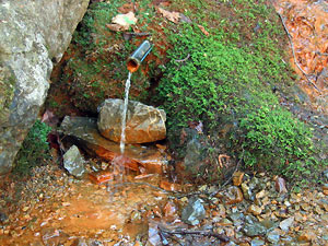 Sorgente di acqua ferruginosa