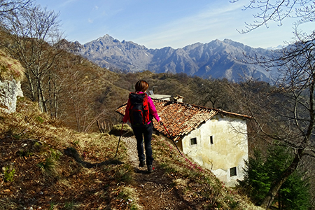 Monte Suchello (1541 m) da Aviatico (1080 m) il 13 aprile 2015  - FOTOGALLERY