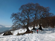 DSCF7961