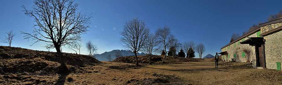 Alla Malga Cucco (2510 m)