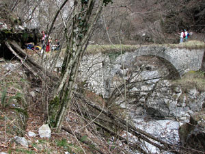 Ponte in muratura e piante sradicate