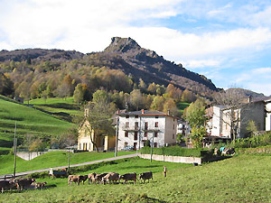 Reggetto, farzione di Vedeseta