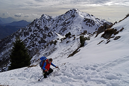 Bel ritorno sulle nevi del Venturosa (1999 m) il 24 febbraio 2016  - FOTOGALLERY