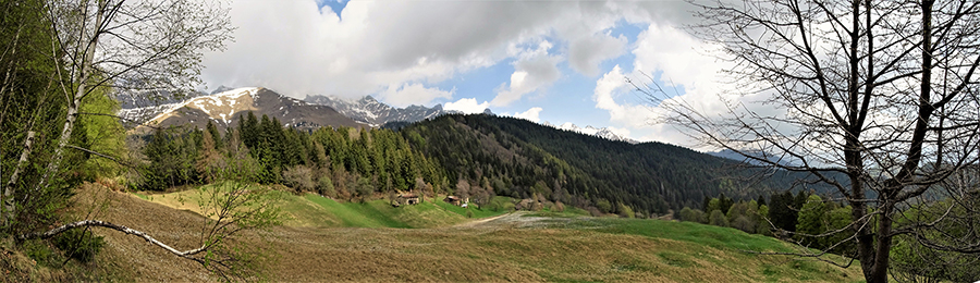 Prati fioriti della Pigolotta visti nei pressi della cima del Monte Pigolotta (1504 m)