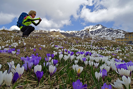 Da Avolasio ai Piani d’Artavaggio con anello Sodadura (2010 m)– Cima di Piazzo (2057 m) il 10 aprile 2016 - FOTOGALLERY