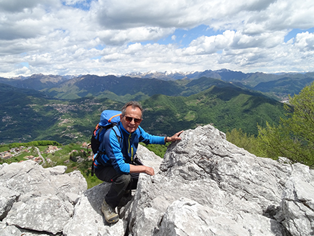 LINZONE (1392 m) da Roncola, protagonisti narcisi e capre orobiche (17magg21) - FOTOGALLERY