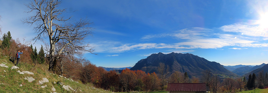 Faggio secolare alla Baita Cascinetto del Menna con vista in Alben Faggio secolare alla Baita Cascinetto del Menna con vista in Alben