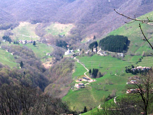 Morterone