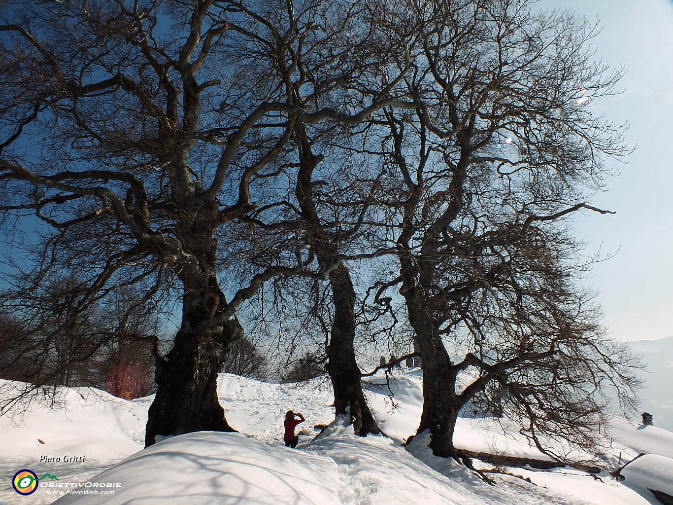 DSCF7978.JPG