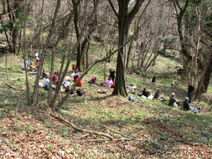 Pic-nic di mezzogiorno 