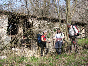 Il bosco invade tutto