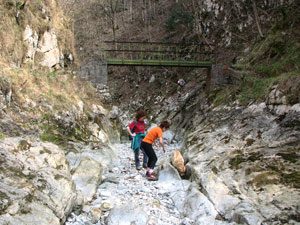 Devil sorseggia la pochissima acqua del torrente