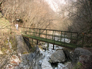 Ponticello in ferro sul Parina
