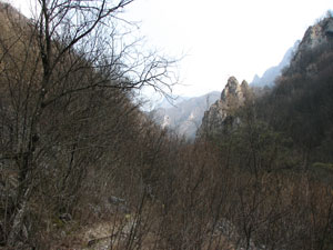Torrioni e guglie caraterizzano il fondovalle 