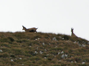 Al Passo di Monte Colle  - foto Piero Gritti 20 sett. 07