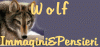 Best Wolf - Immagini e pensieri