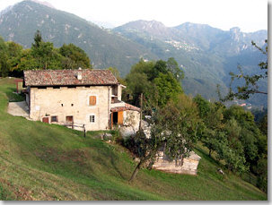 Casa contadina in Località Colle