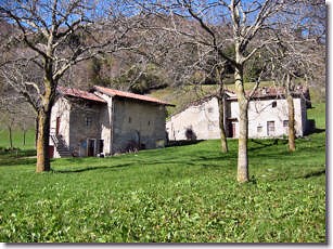 I cascinali di GIAPERTO