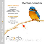 Stefano Torriani - Mostra personale