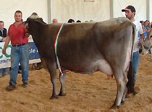 Vedi in grande