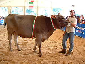 Vedi in grande