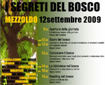 I segreti del bosco