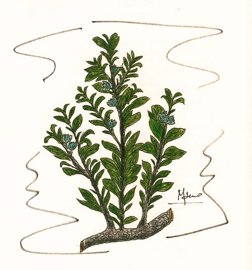 Il Canto Alto con la croce