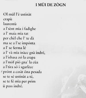 una poesia della raccolta