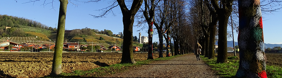 Il bellissimo lungo viale alberato della Madonna di Prada