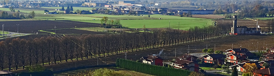 Vista sulla Madonna di Prada e il viale alberato Vista sulla Madonna di Prada e il viale alberato