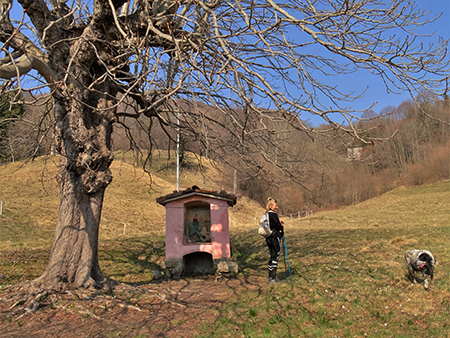 Monte Zucco ad anello ‘fiorito’ da S. Antonio via Sonzogno-26mar22 - FOTOGALLERY