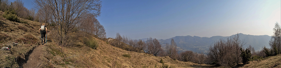 Salendo da Sonzogno in radura prativa verso il Rif. Monte Zucco con vista in Canto Alto