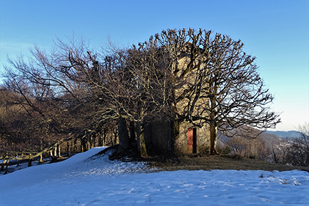 Monte Zucco - Pizzo Cerro ad anello da S. Antonio Abbandonato - 13 febbraio 2019 - FOTOGALLERY