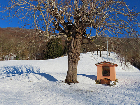 Sulle nevi del Monte Zucco da S. Antonio Abbandonato il 20 febbraio 2026 - FOTOGALLERY