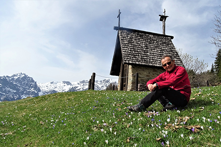 Spettacolo di crocus ai prati della Pigolotta di Valtorta il 22 aprile 2019  - FOTOGALLERY