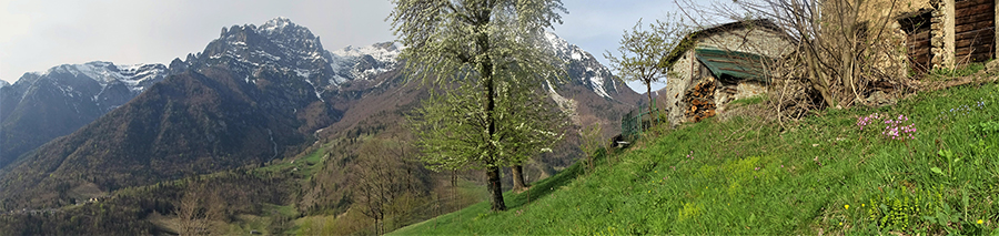 Vista panoramica dalla Baita della Costa del Gras