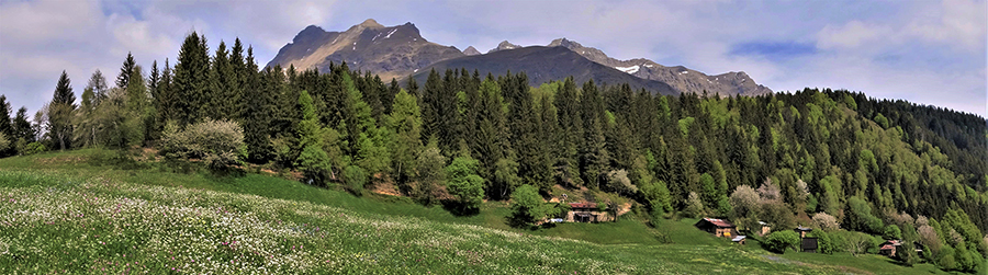 Vista panoramica sui prati e la baite delal Pigolotta con vista sul Pizzo dei Tre Signori