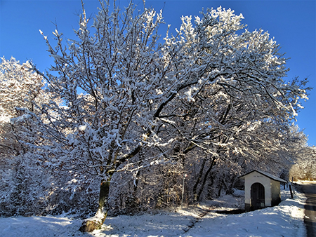 Panorami con le prime nevi da Miragolo S. Salvatore di Zogno il 3 dicenmbre 2020- FOTOGALLERY