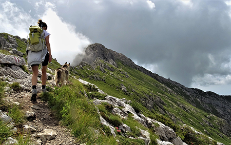 Cima Alben (2020 m) in periplo dal Passo della crocetta il 26 luglio 2020- FOTOGALLERY