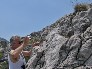 Luigi sulla roccia per fotografare la Primula auricula