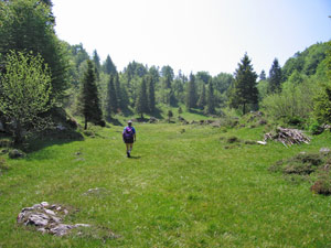 Pianoro pascolivo di 'Cima Cornetti'