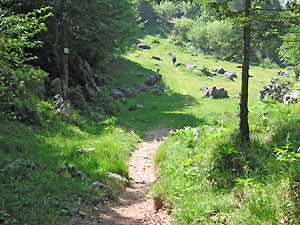 Passo del Sappl锟? (1490 m)