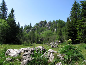Bei pianori al Passo del Sapplé”?