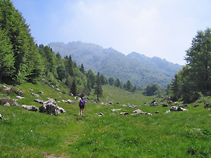 Sentiero pianeggiante ed erboso per le Casere Alte d'Alben