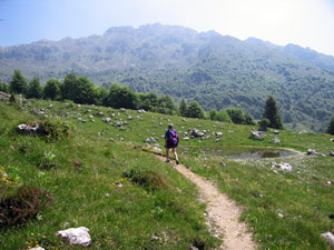 I pascoli  delle Casere Alte d'Alben